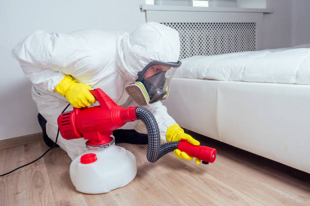 Best Pest Prevention Services  in Keene, NH