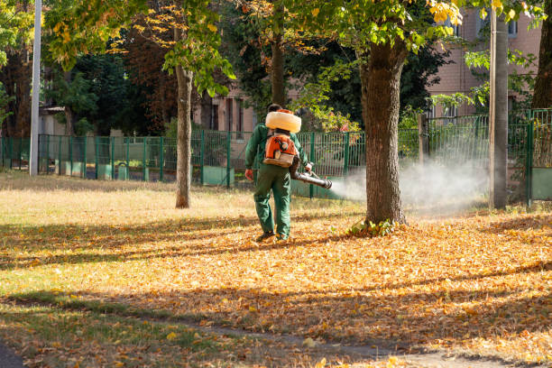 Best Exterminator Services  in Keene, NH